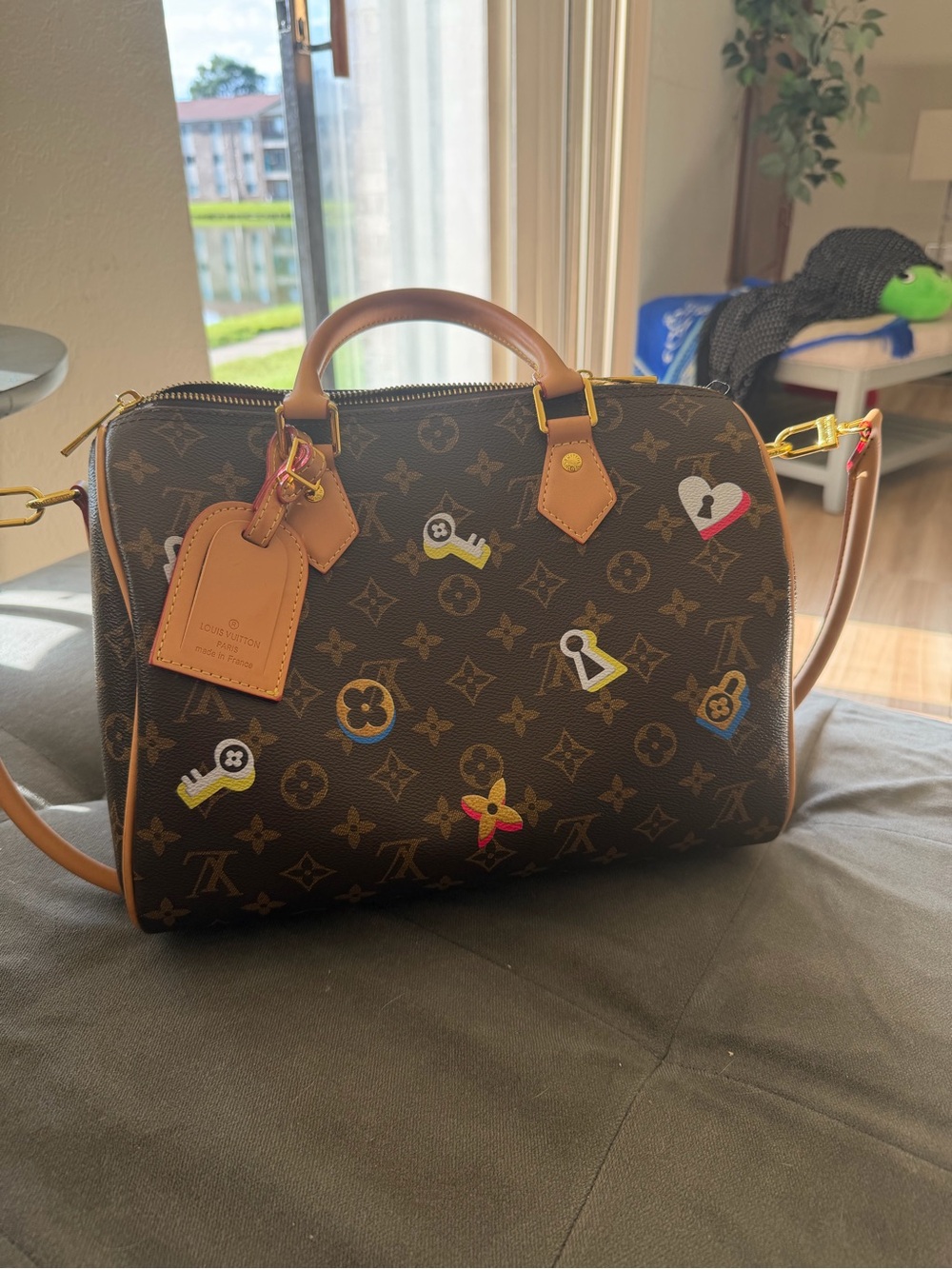 Louis Vuitton Brown Monogram Speedy Bandoulière with Multicolor Motifs
